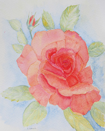 Rose