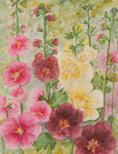 Hollyhocks