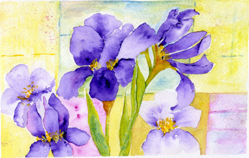Irises