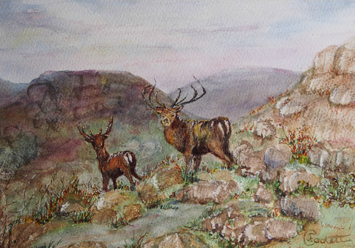 The Highlands