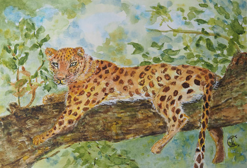 Leopard