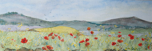 Poppy Landscape