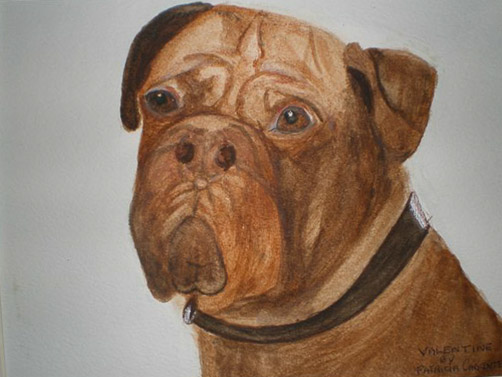 Boxer