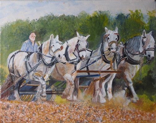 Draught Horses