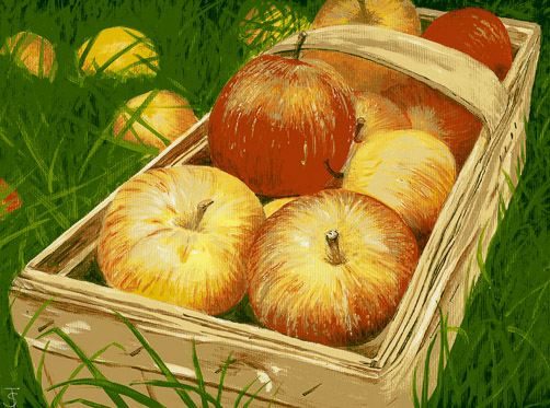 Apple Basket