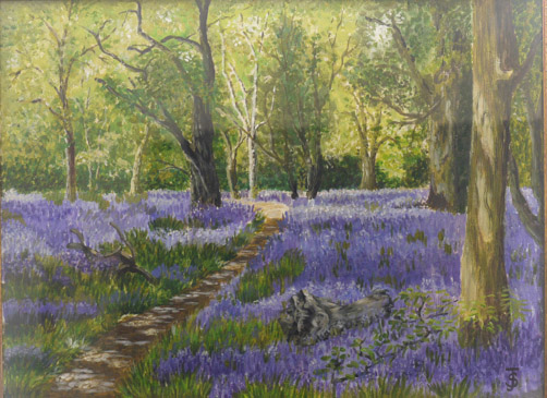 Bluebell wood