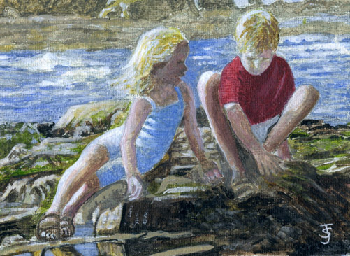 Rock Pool