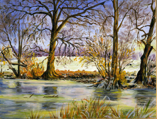 Wintry river