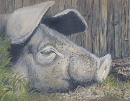 Oink Oink