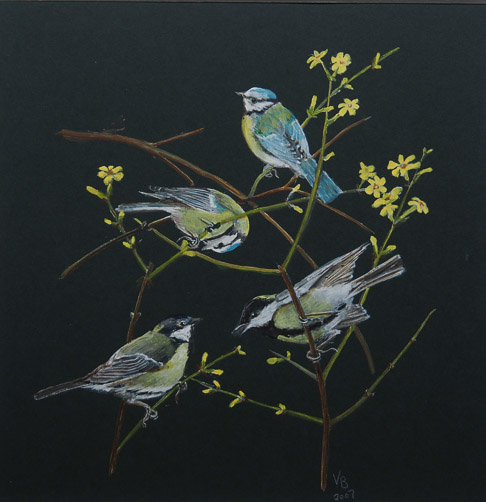 Garden Birds