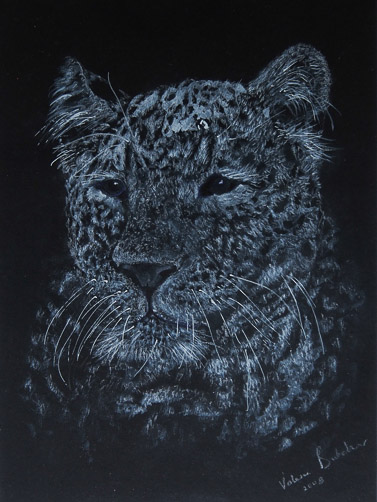 Leopard