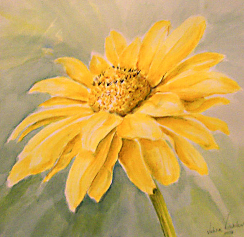 Rudbeckia