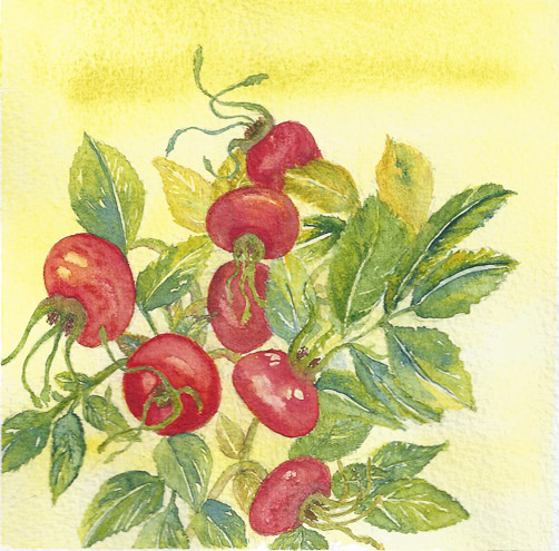 Berries